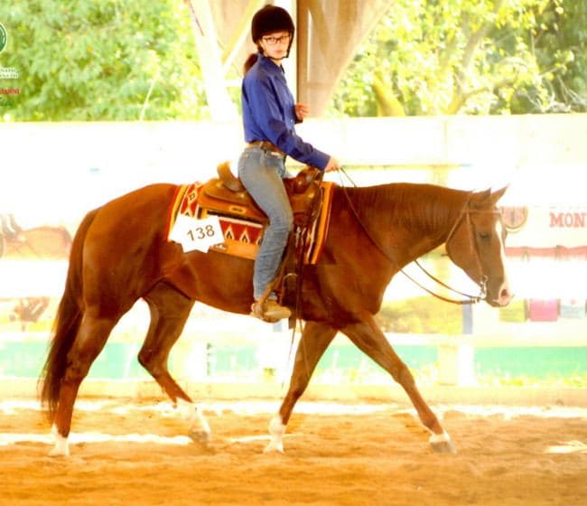 dsciplina-reining-cavallo