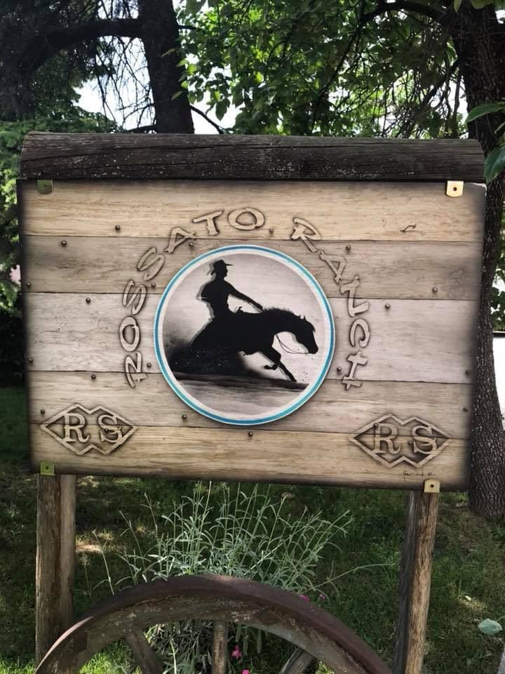 rossato-ranch-vicenza-cavalli